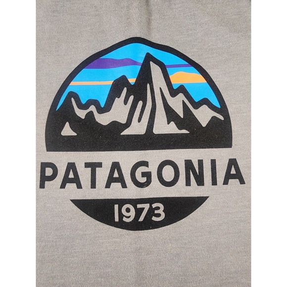 Patagonia Mens Small Lightweight Crew neck Sweatshirt Gray Green Fitz Roy Scope - Picture 11 of 12